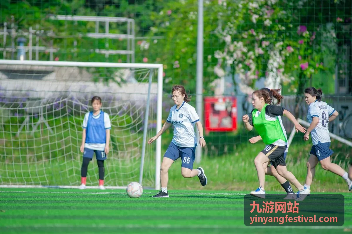 九游网站热播剧集《雾港谜案》封面
